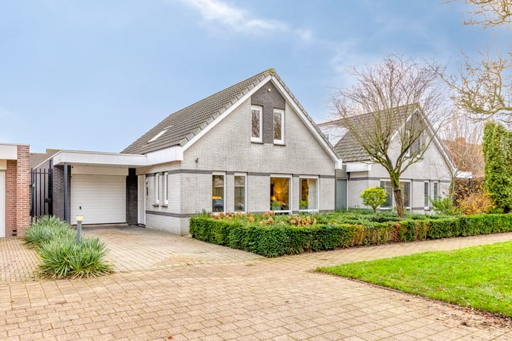 Vorstendom 11 main image