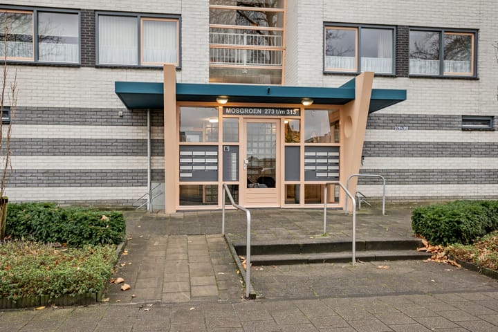 Foto 2 van Mosgroen 309