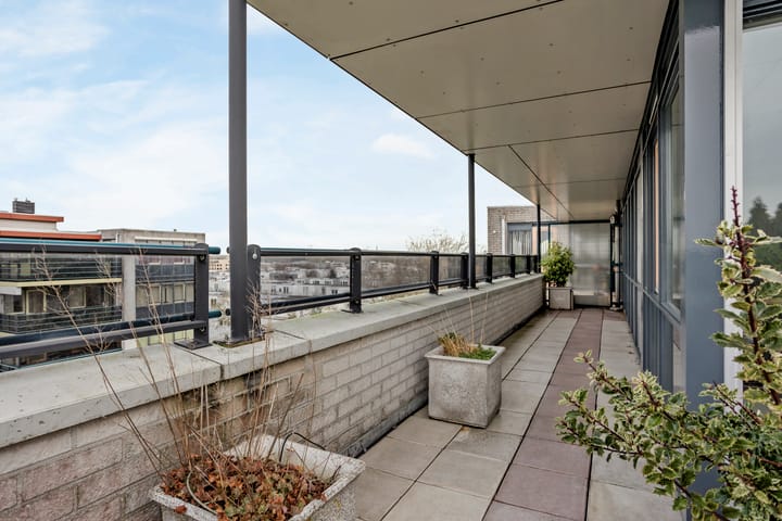 Foto 19 van Mosgroen 309