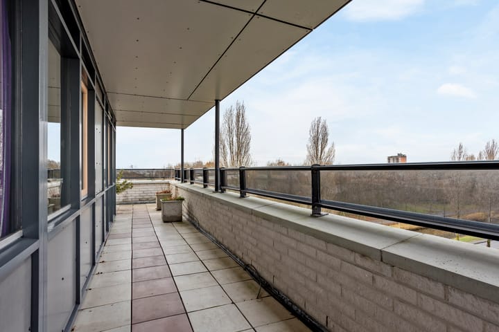 Foto 20 van Mosgroen 309