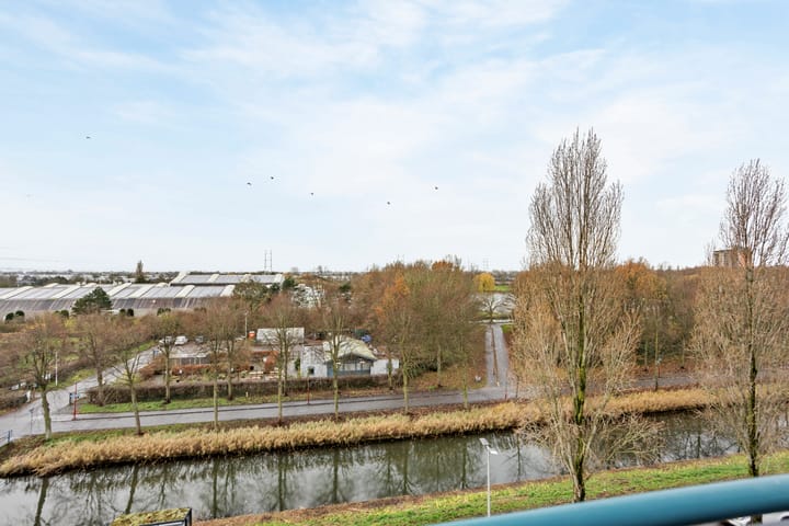 Foto 21 van Mosgroen 309