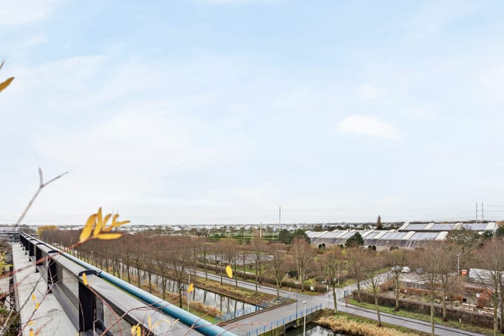 Foto 22 van Mosgroen 309