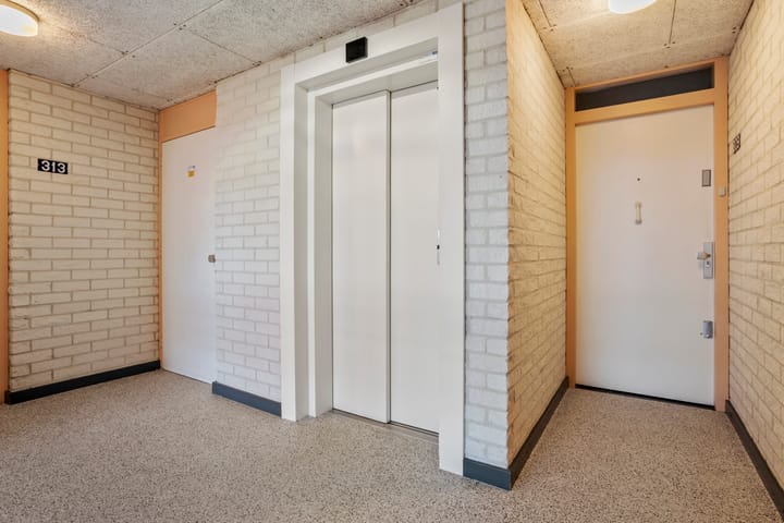 Foto 29 van Mosgroen 309