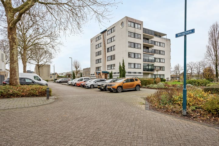 Foto 37 van Mosgroen 309