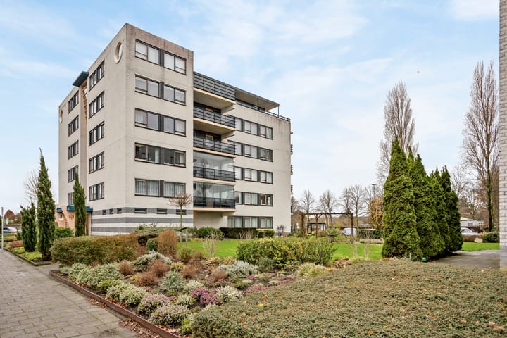 Foto 38 van Mosgroen 309