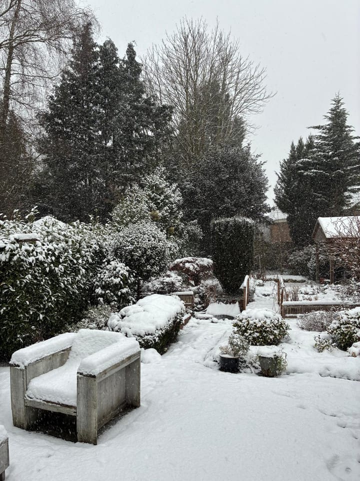 Foto 13 van Minervalaan 27