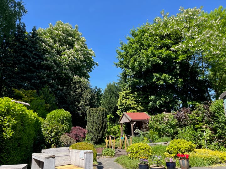 Foto 14 van Minervalaan 27