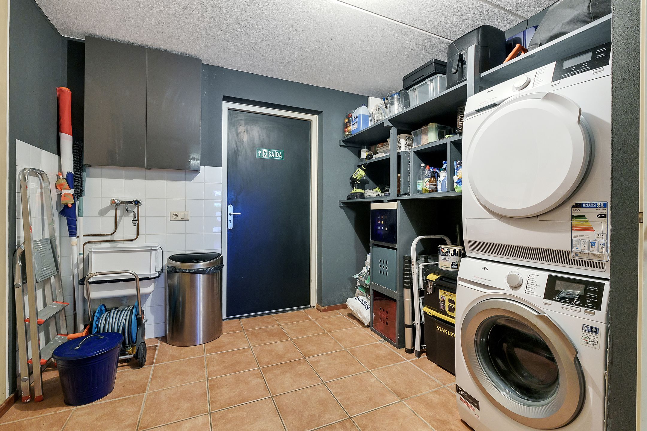 Foto 6 van Veldbeemdgras 12