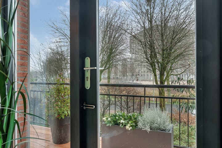 Foto 27 van Veldbeemdgras 12