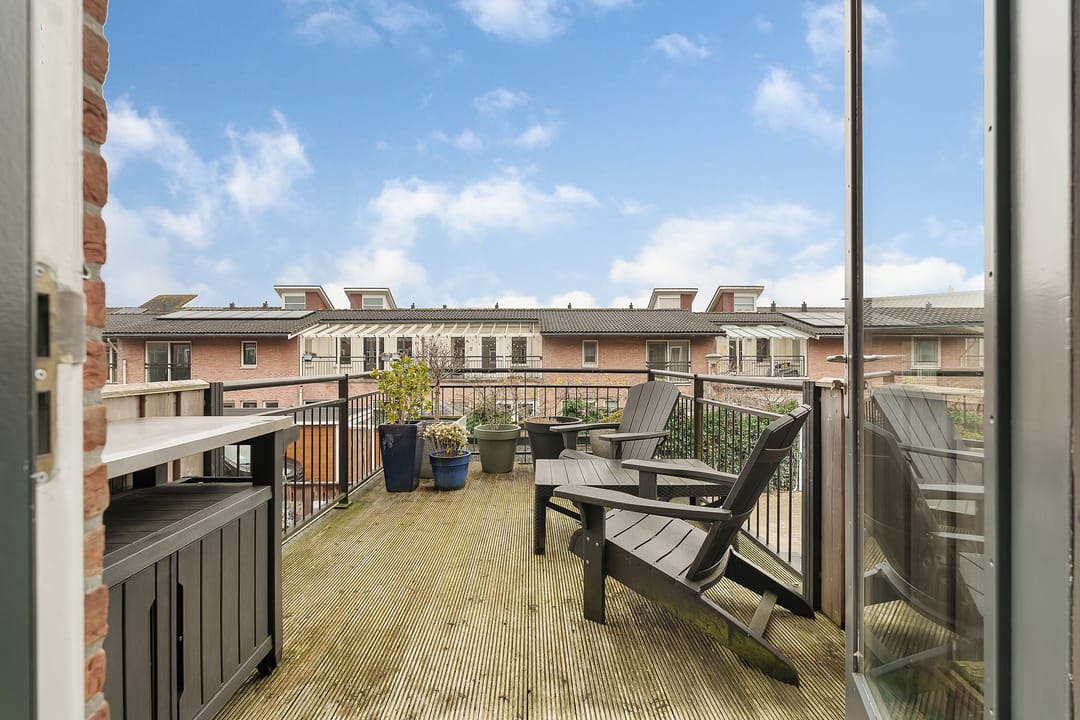 Foto 28 van Veldbeemdgras 12