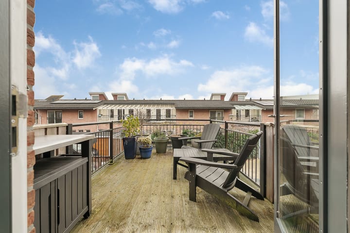 Foto 28 van Veldbeemdgras 12