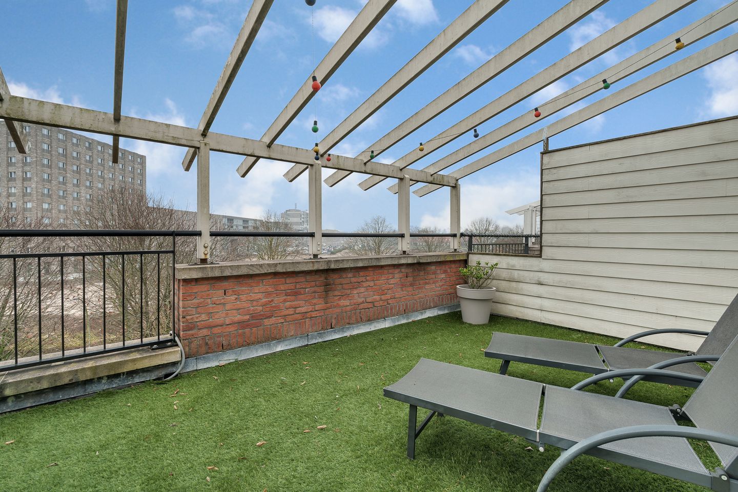 Foto 29 van Veldbeemdgras 12