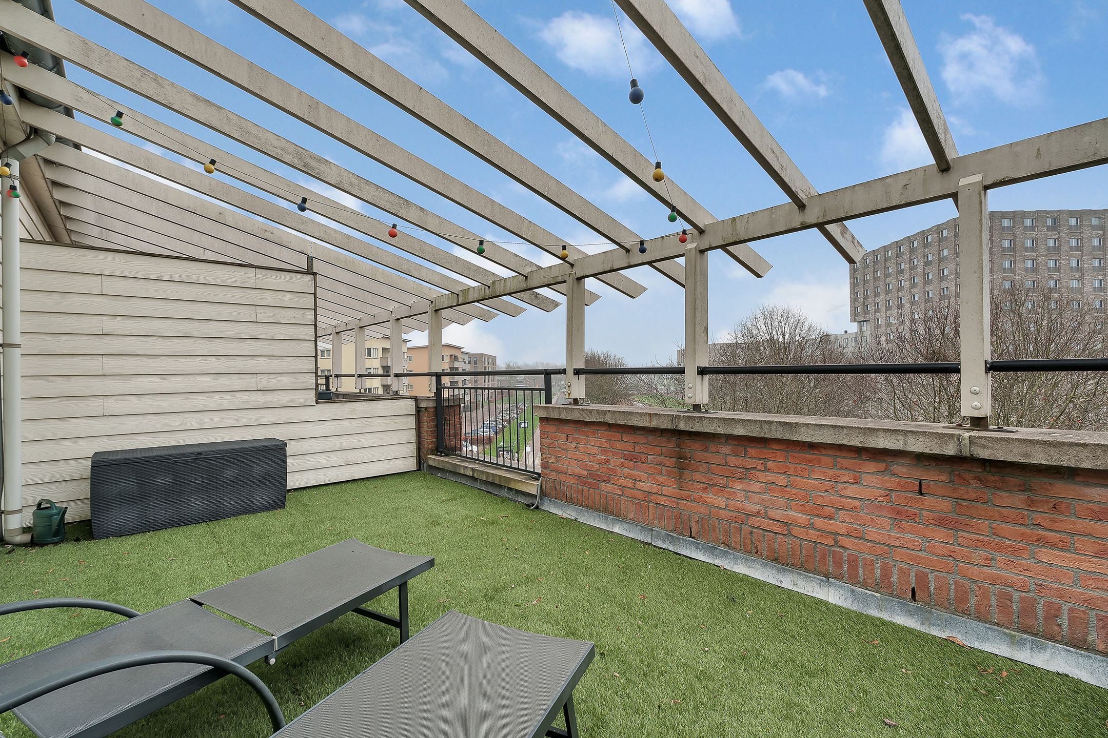 Foto 30 van Veldbeemdgras 12