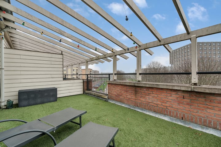 Foto 30 van Veldbeemdgras 12