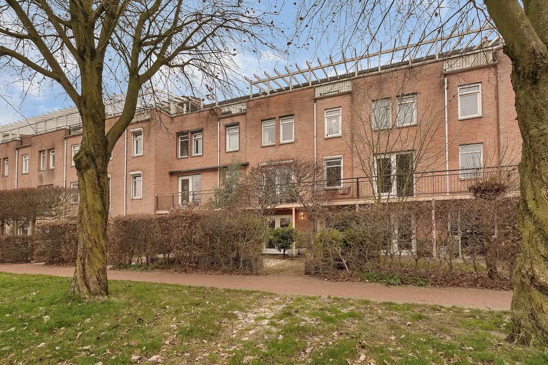 Foto 37 van Veldbeemdgras 12