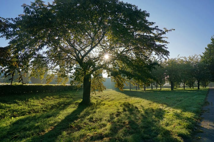 Foto 58 van Simon van Collemstraat 56