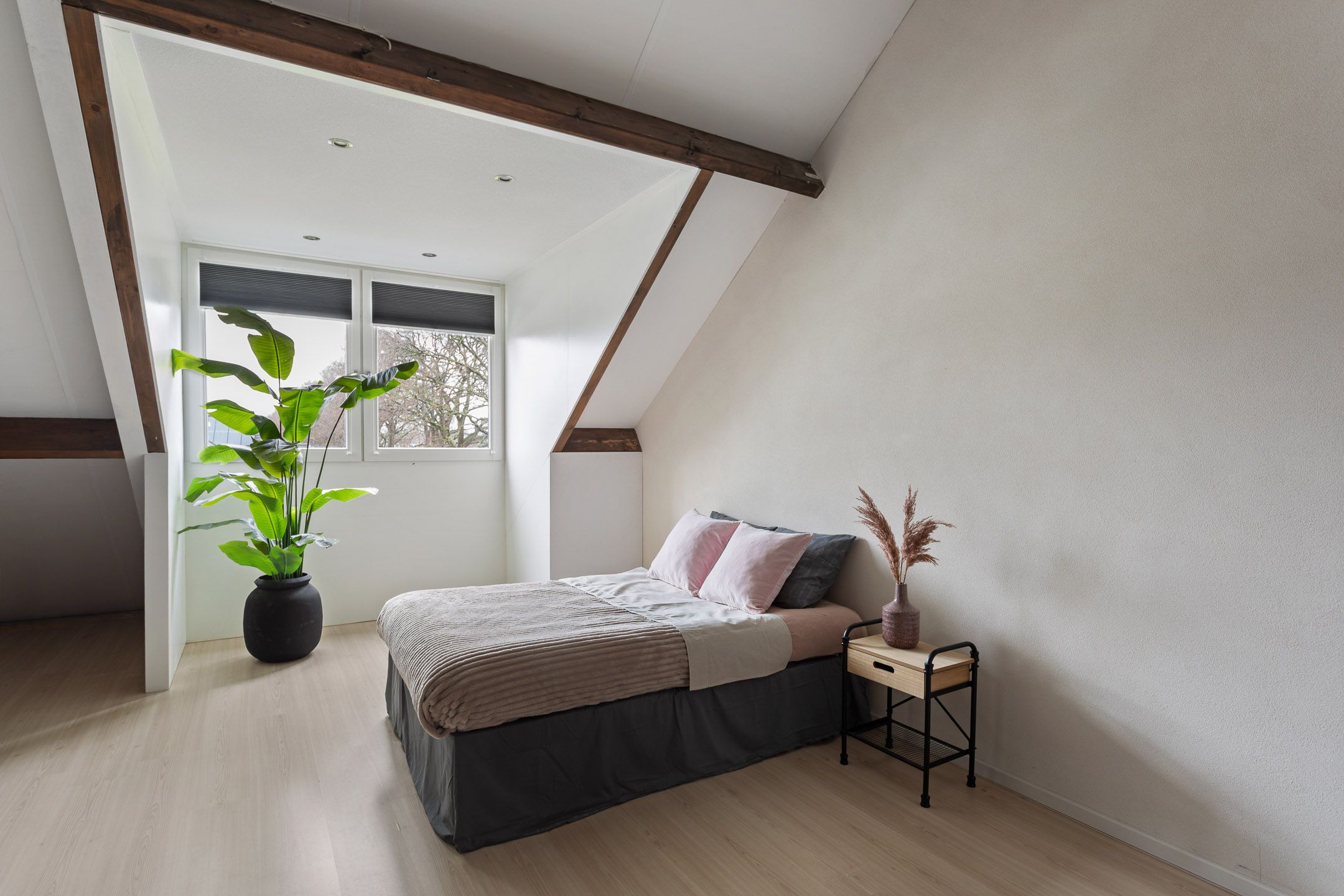 Foto 18 van Kafmolen 19