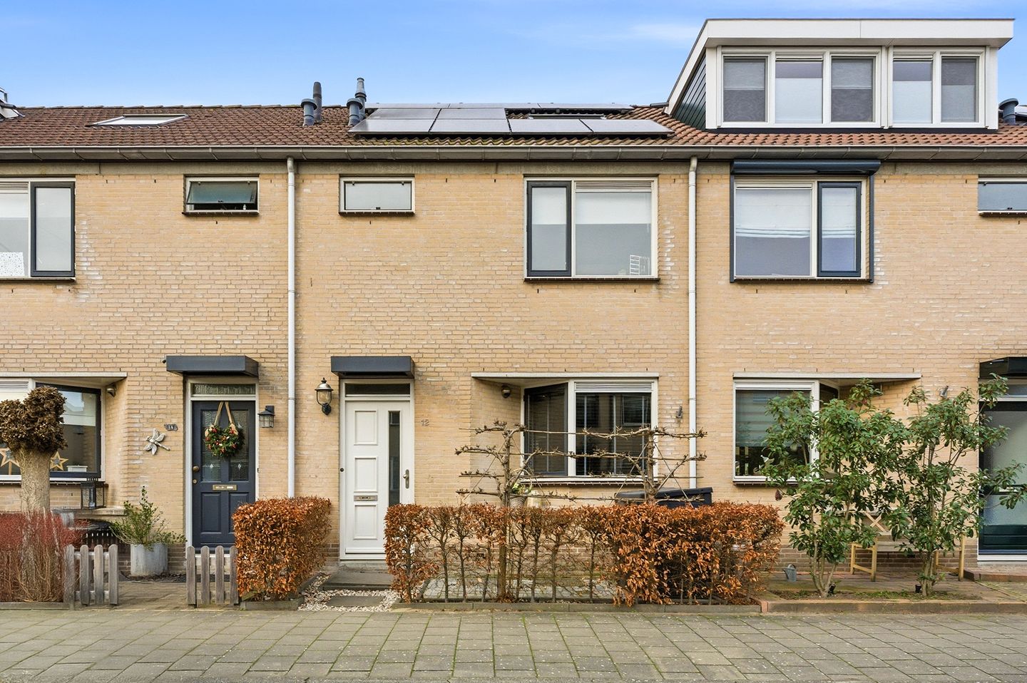 Pluimzegge 12