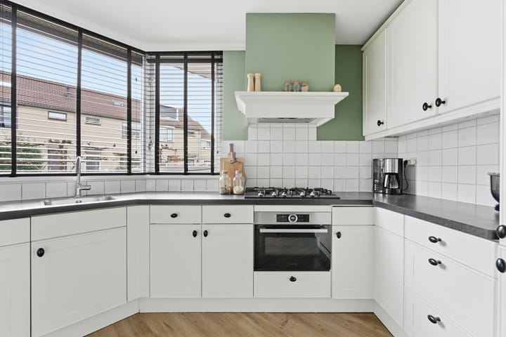 Foto 3 van Pluimzegge 12