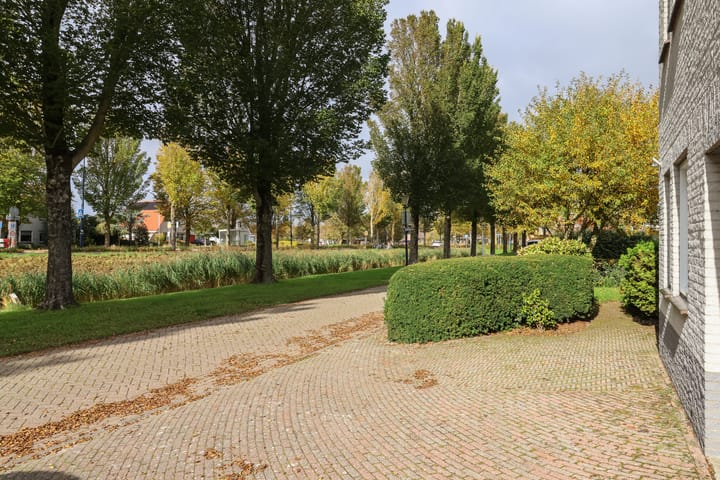 Foto 10 van De Scholekster 5-A