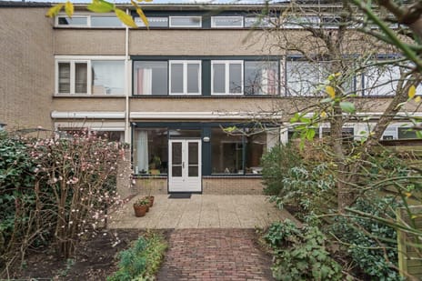 undefined main image