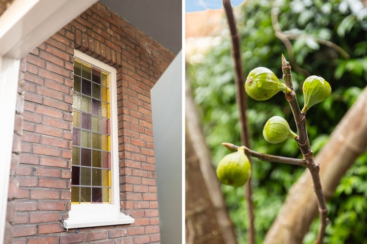 Foto 34 van Wijnstraat 1