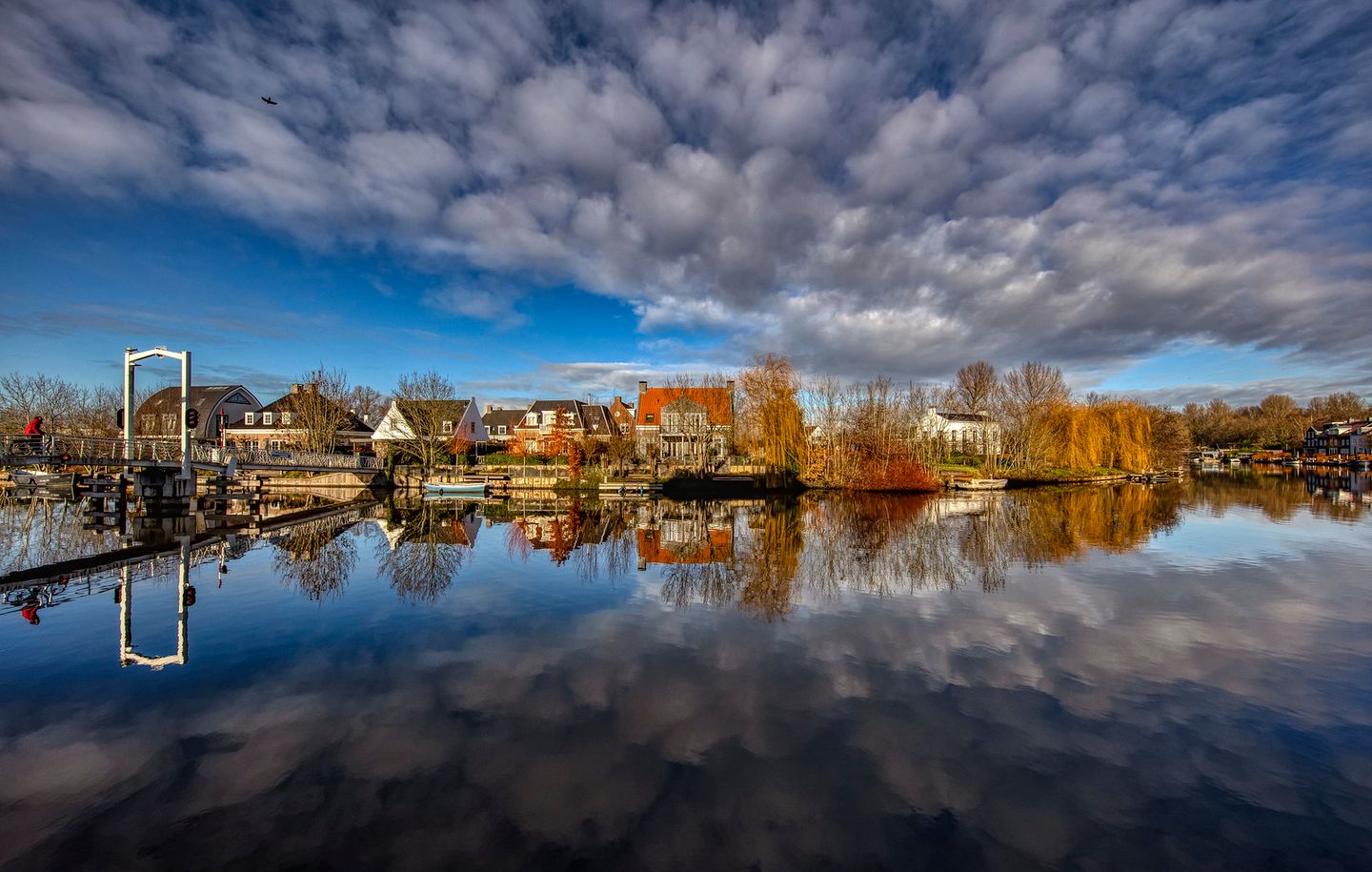 Foto 89 van L. Rotgansstraat 2