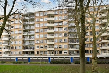 Van Nijenrodeweg thumbnail