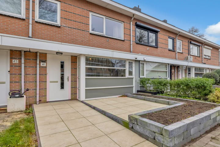 Photo 3 of Escudo 47