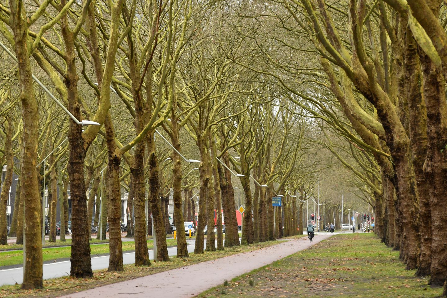 Foto 19 van Van Nijenrodeweg 732