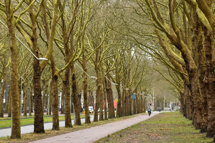 Foto 19 van Van Nijenrodeweg 732