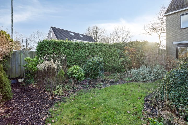 Foto 38 van Wepel 15