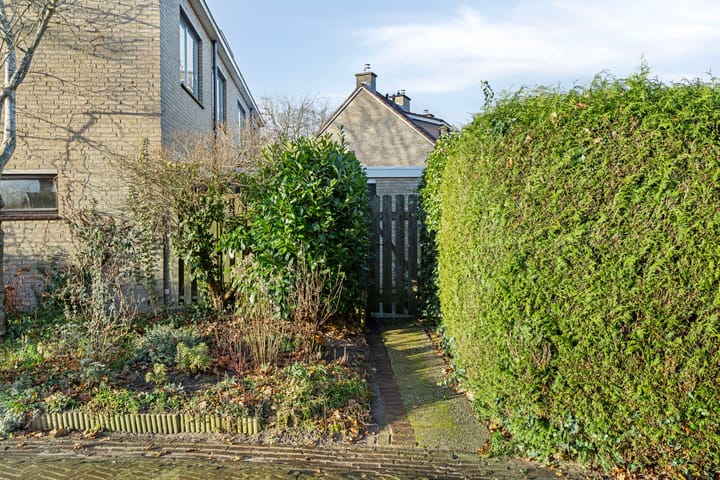 Foto 42 van Wepel 15