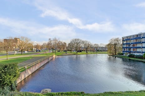 Roosstraat thumbnail