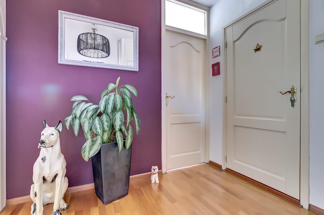 Foto 17 van Roosstraat 10