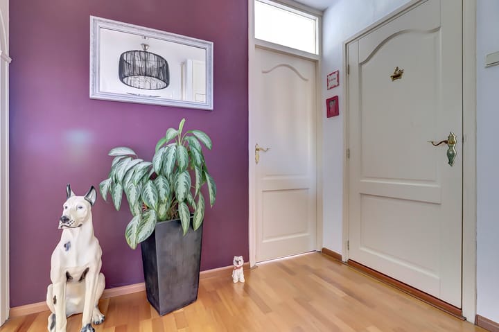 Photo 17 of Roosstraat 10