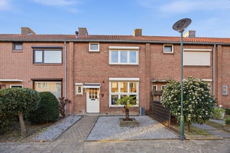 undefined main image