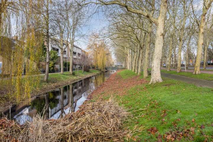 Foto 37 van Klaverruiter 14