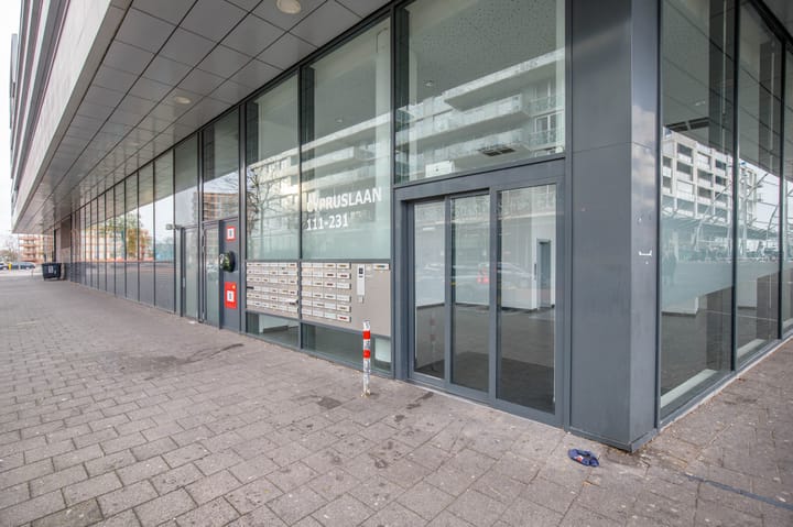 Foto 7 van Cypruslaan 157