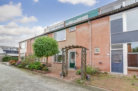 undefined main image