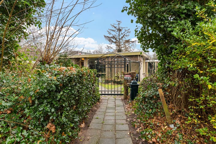 Photo 4 of Heckningecamp 35