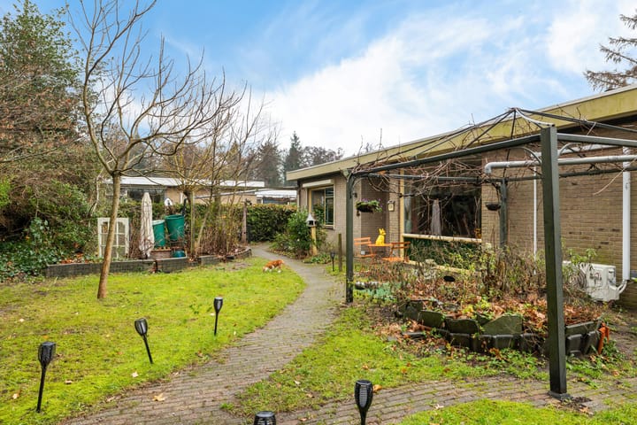 Foto 5 van Heckningecamp 35