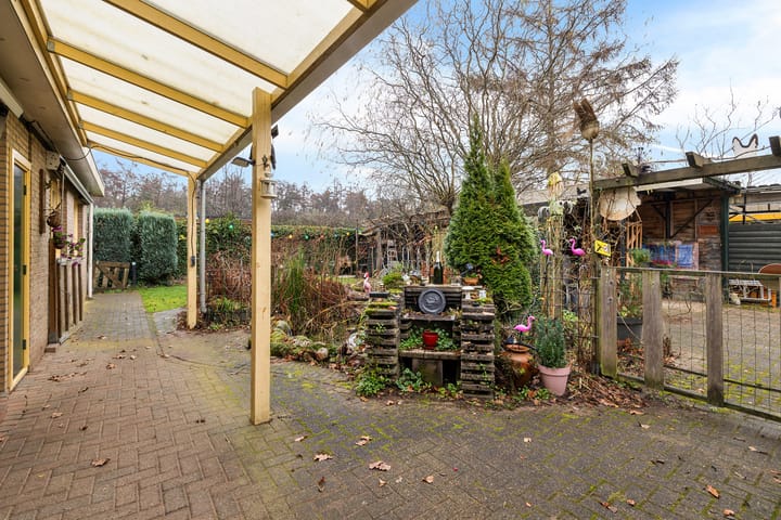 Foto 31 van Heckningecamp 35