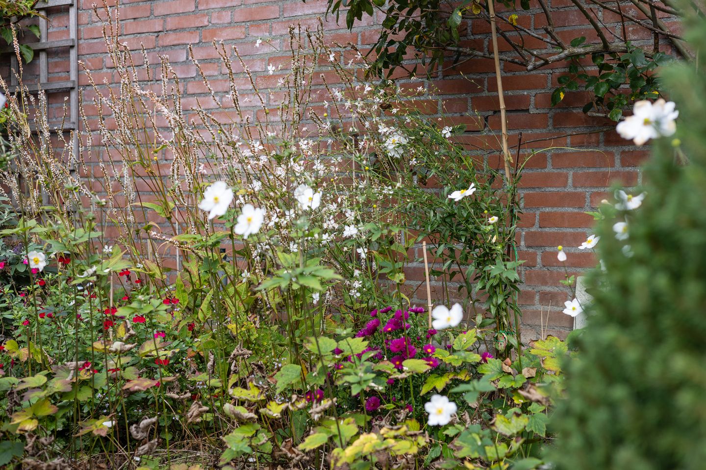 Foto 50 van Vlijmense Dijk 20