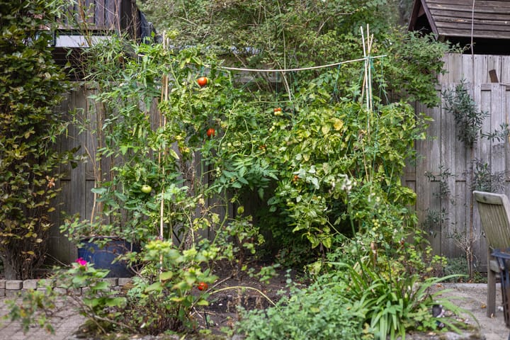 Foto 53 van Vlijmense Dijk 20