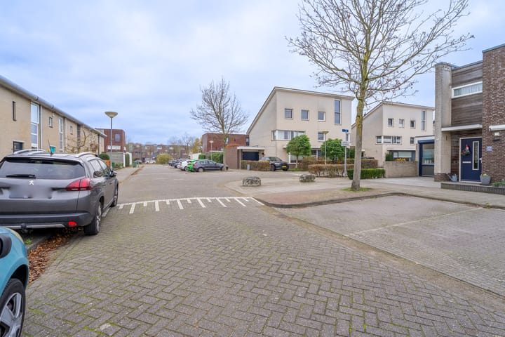 Foto 29 van Heideblauwtje 28