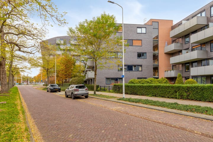 Foto 28 van Leeghwaterstraat 252