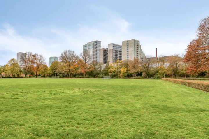 Foto 36 van Leeghwaterstraat 252