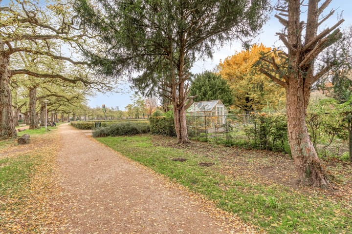 Foto 37 van Leeghwaterstraat 252