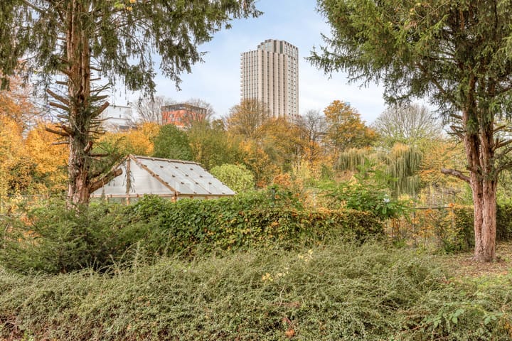 Foto 38 van Leeghwaterstraat 252